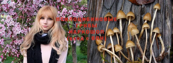прущая мука Новозыбков