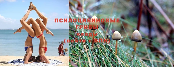 прущая мука Новозыбков