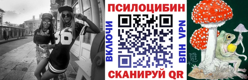 купить наркотик  Тара  Псилоцибиновые грибы ЛСД 