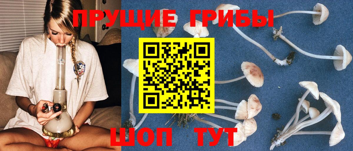 Псилоцибиновые грибы мухоморы  купить  цена  Тара 