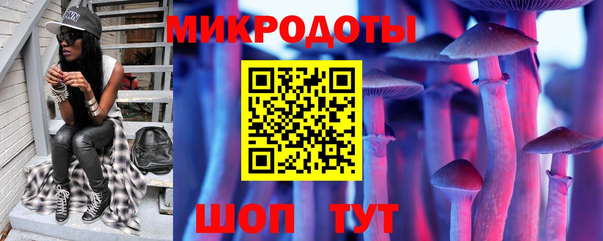 Псилоцибиновые грибы Psilocybe Тара
