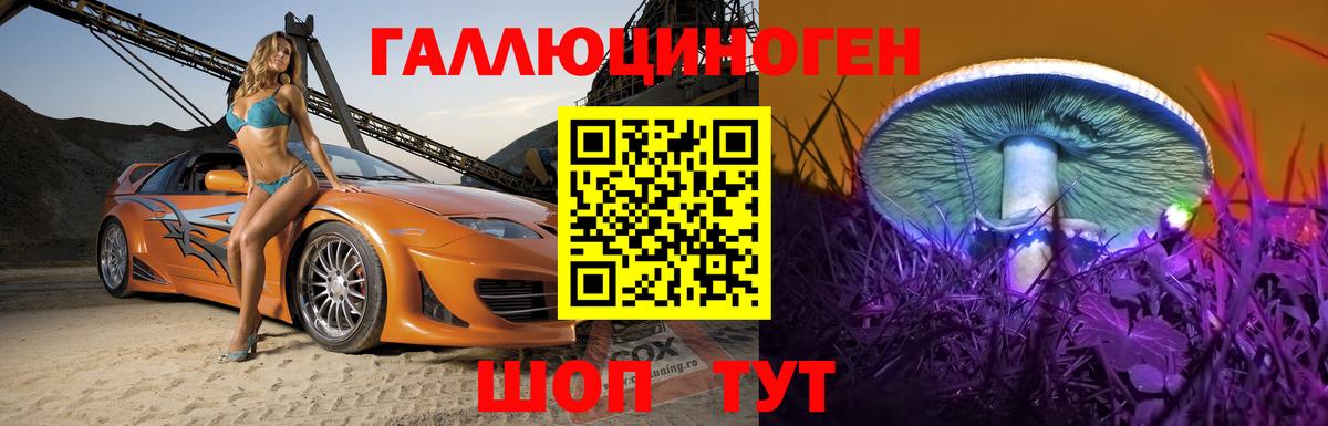 Галлюциногенные грибы мицелий  Псилоцибиновые грибы прущие грибы  Вход с VPN  Тара 